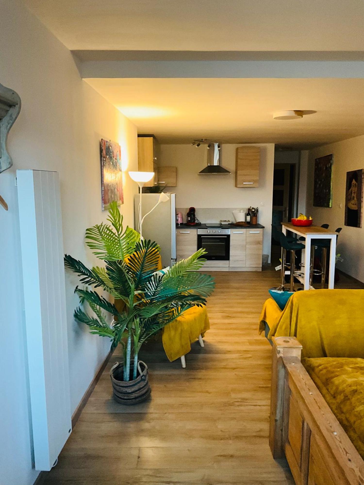 Hote Labyrinthe Lit 180 Cm Salle De Bain, Petit Dej Compris Mirepoix  Εξωτερικό φωτογραφία
